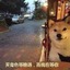 约等于17