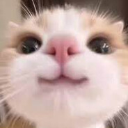 𝑲𝒓𝒚𝒔𝒕𝒂𝒍