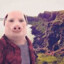 John Pork