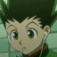 gon