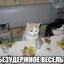 отдохни