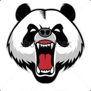 ✠INSΛNΞ✠PΛNDΛ✠