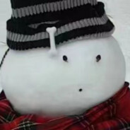 笨蛋雪人喵酱~^-^