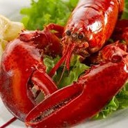 OMFGALOBSTER