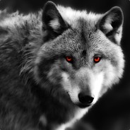 Twitch_PecholoboTV