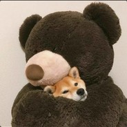 机机机机机智杜