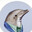 GentleDolphin
