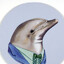 GentleDolphin