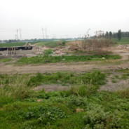 尿尿不要解裤带