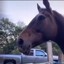 LOVERDOSEcom_