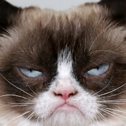 Grumpy caaant