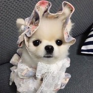 我也不知道为什么这么见