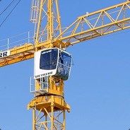 Sexualy frustrated tower crane