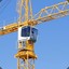 Sexualy frustrated tower crane