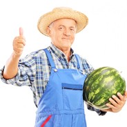 Melonfarmer