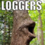 Logchamp