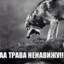 НЕНАВИЖУ ТРАВУ!!!!