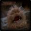 Fizzgig