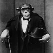 mr. monkey