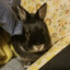 thunderbun