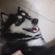 我的头可不是用面团捏