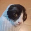 FluffGu