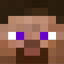 I Am Steve