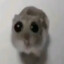 about