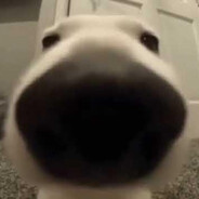 Sniffa