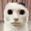 DaftHuman