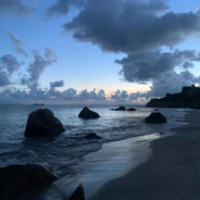 MT-胖虎[五组组员]