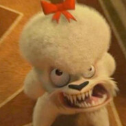 anacka vychlazená dvanáctka