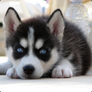 我一般都杀30个左右