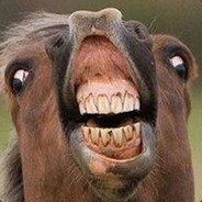 approximately 92 sobbing horses's Avatar