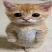кириллоперуполно - steam id 76561199629258173