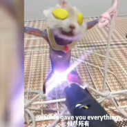 阴暗蠕动的蟑螂QAQ恶霸