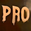 ProVoyager10