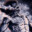 Kryptic12