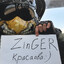 ZingeEr