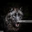 BLACKWOLF