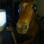 janspot