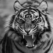 Пехотинец Путина