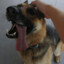 Reni &lt;3