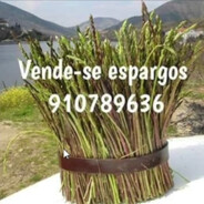 Fineco avatar