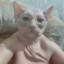 AsYy's avatar