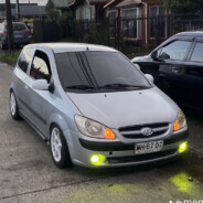 Coyote04