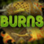 Burns