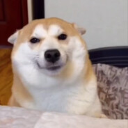 伯乐见了都说好马