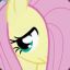 Fluttershy