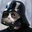 Darth Meow